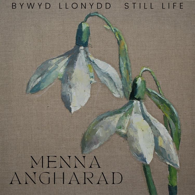 Still Life - Menna Angharad